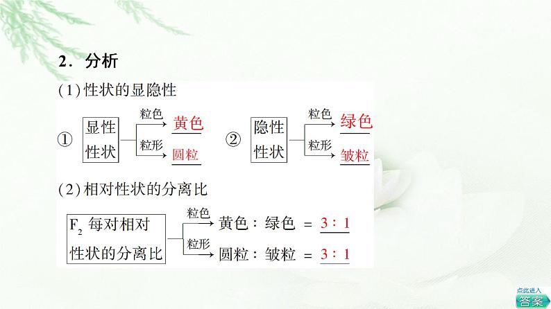 人教版高中生物必修2第1章第2节第1课时两对相对性状的杂交实验与自由组合现象的解释和验证课件第6页