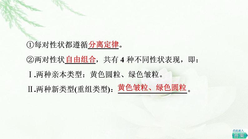 人教版高中生物必修2第1章第2节第1课时两对相对性状的杂交实验与自由组合现象的解释和验证课件第7页