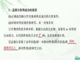 人教版高中生物必修2第1章第2节第2课时孟德尔实验方法的启示、遗传规律的再发现和应用课件