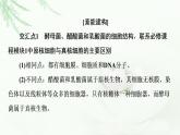苏教版高中生物选择性必修3第1章素能提升课发酵工程与其他相关知识的综合课件