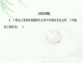 苏教版高中生物选择性必修3第1章素能提升课发酵工程与其他相关知识的综合课件