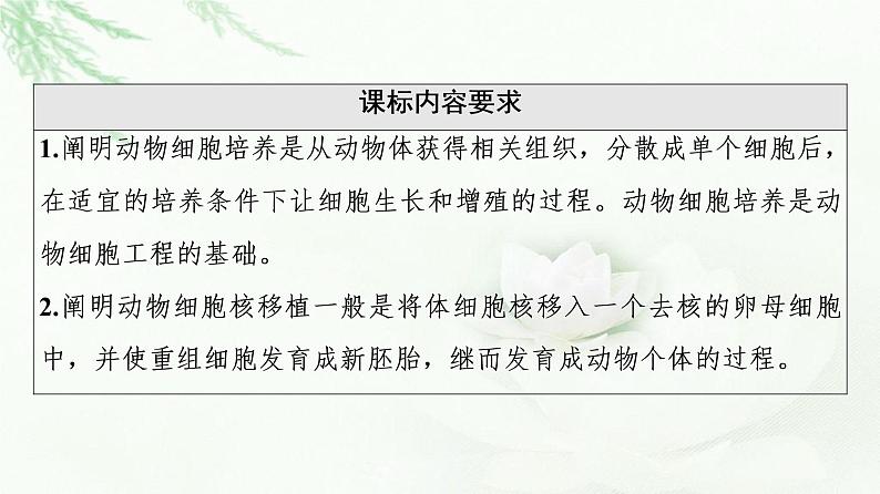 苏教版高中生物选择性必修3第2章第3节第1课时动物细胞核移植技术与动物细胞培养技术课件02