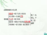 苏教版高中生物选择性必修3第2章第4节第1课时哺乳动物胚胎发育的基本过程和体外受精课件