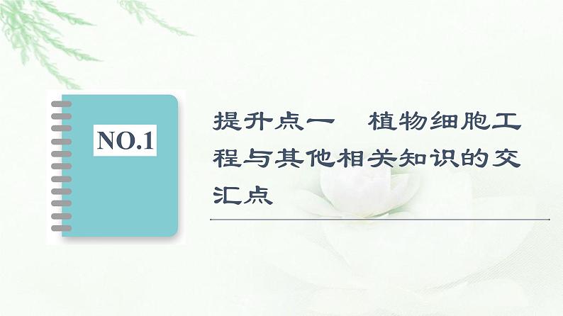 苏教版高中生物选择性必修3第2章素能提升课细胞工程与其他相关知识的综合课件02