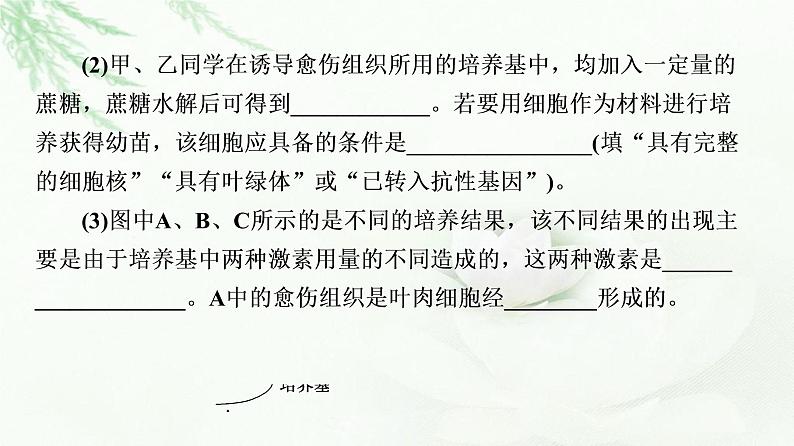 苏教版高中生物选择性必修3第2章素能提升课细胞工程与其他相关知识的综合课件08