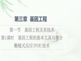 苏教版高中生物选择性必修3第3章第1节第1课时基因工程的基本工具与聚合酶链式反应(PCR)技术课件