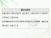 苏教版高中生物选择性必修3第3章第1节第1课时基因工程的基本工具与聚合酶链式反应(PCR)技术课件