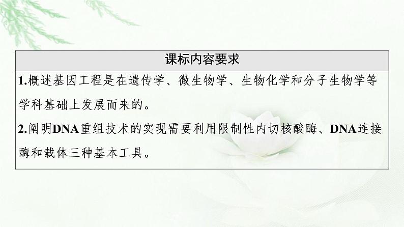 苏教版高中生物选择性必修3第3章第1节第1课时基因工程的基本工具与聚合酶链式反应(PCR)技术课件02