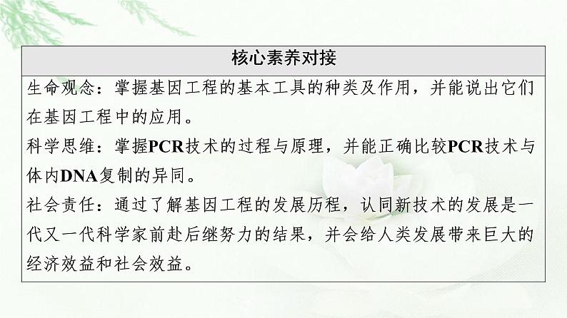 苏教版高中生物选择性必修3第3章第1节第1课时基因工程的基本工具与聚合酶链式反应(PCR)技术课件03