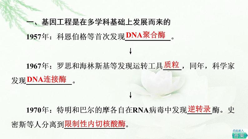 苏教版高中生物选择性必修3第3章第1节第1课时基因工程的基本工具与聚合酶链式反应(PCR)技术课件05