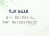 苏教版高中生物选择性必修3第3章第1节第2课时基因工程的基本操作程序课件