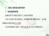 苏教版高中生物选择性必修3第3章第1节第2课时基因工程的基本操作程序课件