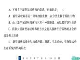 人教版高考生物一轮总复习课时质量评价1走近细胞课件