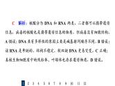 人教版高考生物一轮总复习课时质量评价3蛋白质和核酸课件
