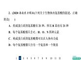 人教版高考生物一轮总复习课时质量评价3蛋白质和核酸课件