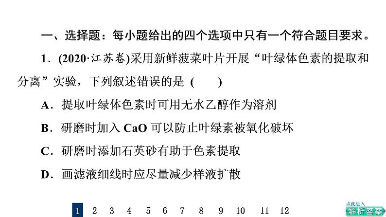 人教版高考生物一轮总复习课时质量评价9光合作用与能量转化课件02