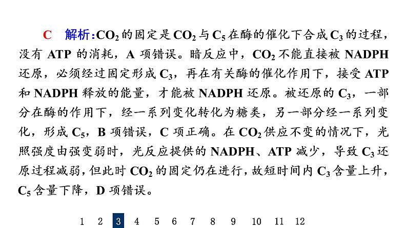 人教版高考生物一轮总复习课时质量评价9光合作用与能量转化课件07