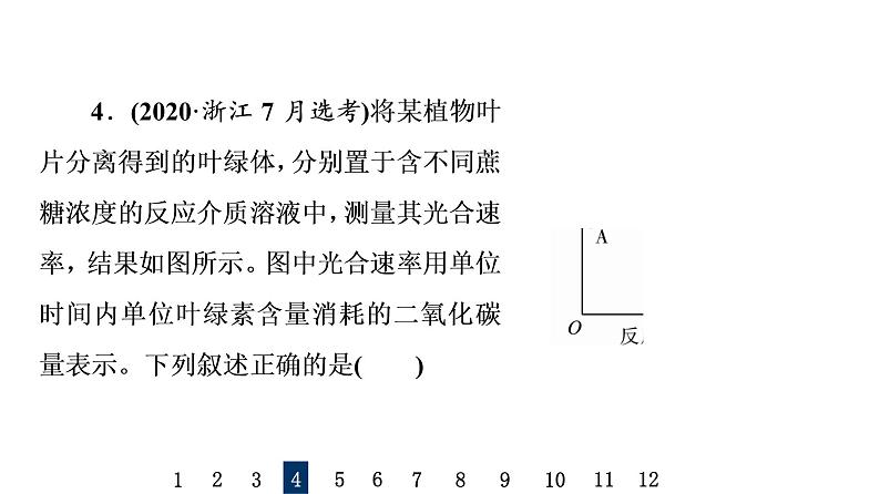 人教版高考生物一轮总复习课时质量评价9光合作用与能量转化课件08