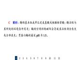 人教版高考生物一轮总复习课时质量评价7酶和ATP课件