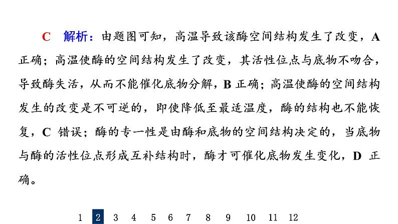 人教版高考生物一轮总复习课时质量评价7酶和ATP课件第5页