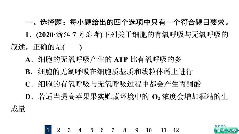 人教版高考生物一轮总复习课时质量评价8细胞呼吸的原理和应用课件02