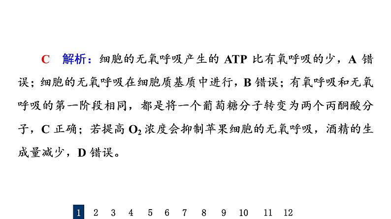 人教版高考生物一轮总复习课时质量评价8细胞呼吸的原理和应用课件03