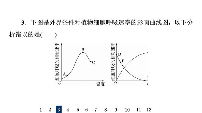 人教版高考生物一轮总复习课时质量评价8细胞呼吸的原理和应用课件06