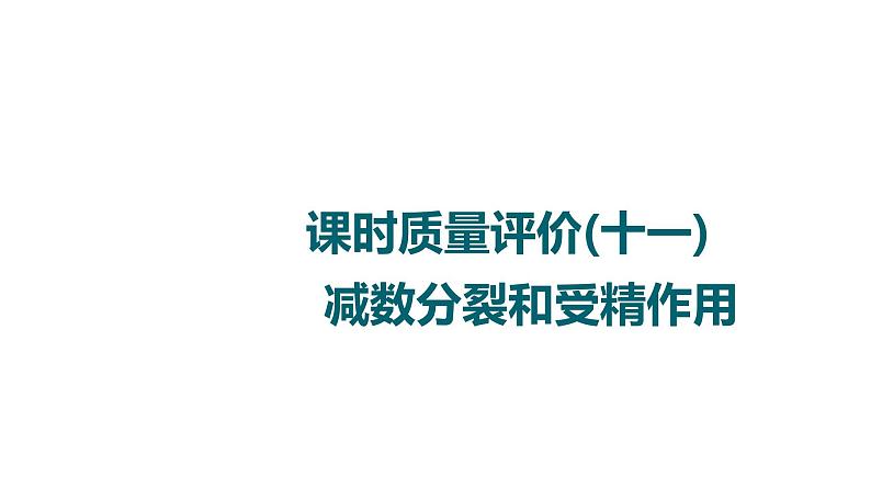 人教版高考生物一轮总复习课时质量评价11减数分裂和受精作用课件01