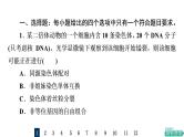 人教版高考生物一轮总复习课时质量评价11减数分裂和受精作用课件