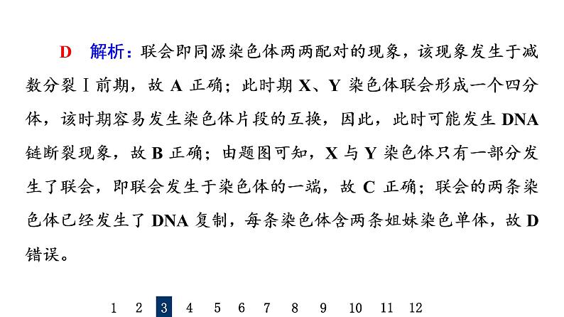 人教版高考生物一轮总复习课时质量评价11减数分裂和受精作用课件07