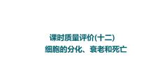 人教版高考生物一轮总复习课时质量评价12细胞的分化、衰老和死亡课件