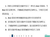人教版高考生物一轮总复习课时质量评价12细胞的分化、衰老和死亡课件
