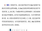 人教版高考生物一轮总复习课时质量评价12细胞的分化、衰老和死亡课件