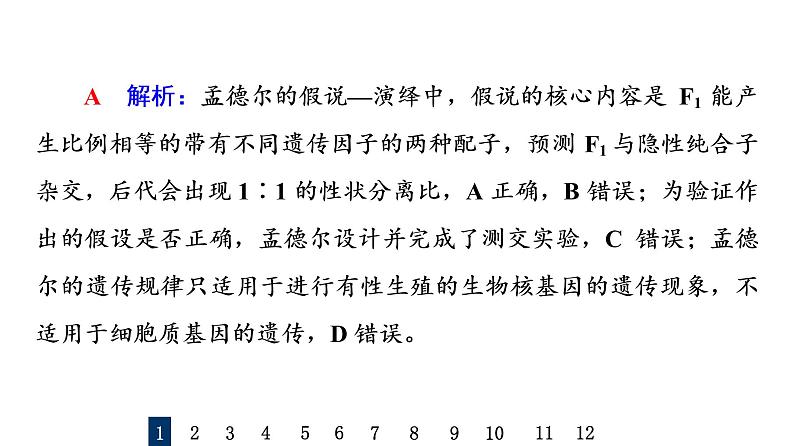 人教版高考生物一轮总复习课时质量评价13孟德尔的豌豆杂交实验(一)课件第3页