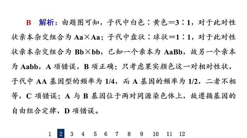 人教版高考生物一轮总复习课时质量评价14孟德尔的豌豆杂交实验(二)课件第6页