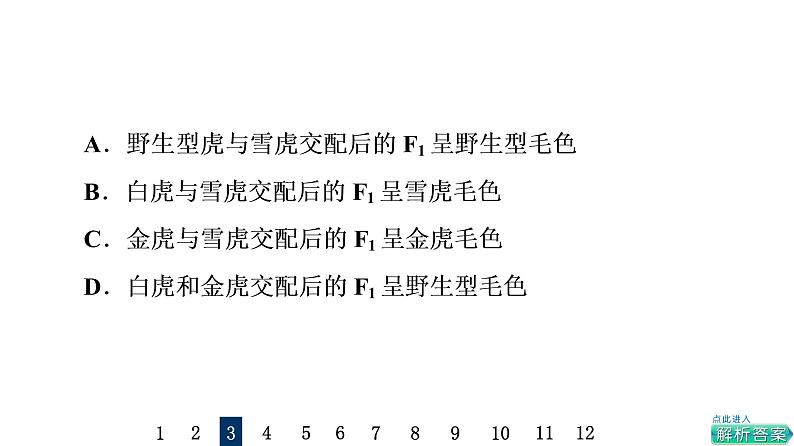 人教版高考生物一轮总复习课时质量评价14孟德尔的豌豆杂交实验(二)课件第8页