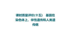 人教版高考生物一轮总复习课时质量评价15基因在染色体上、伴性遗传和人类遗传病课件