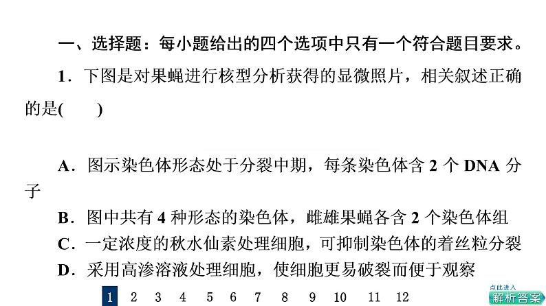 人教版高考生物一轮总复习课时质量评价10细胞的增殖课件第2页