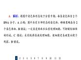 人教版高考生物一轮总复习课时质量评价10细胞的增殖课件