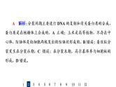 人教版高考生物一轮总复习课时质量评价10细胞的增殖课件