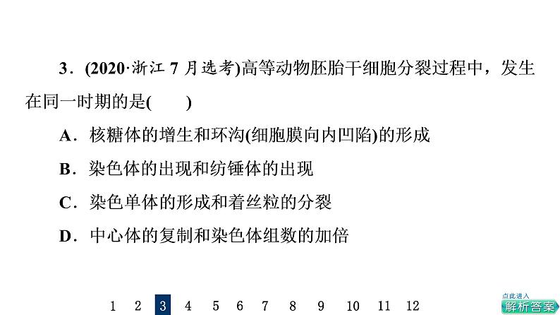 人教版高考生物一轮总复习课时质量评价10细胞的增殖课件第6页