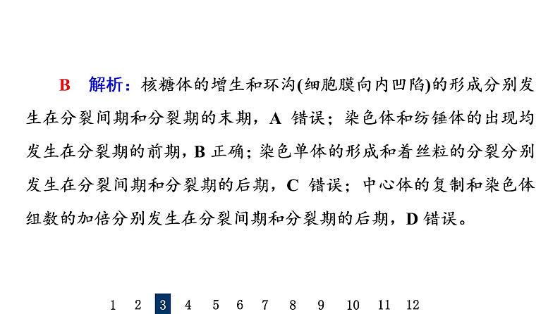 人教版高考生物一轮总复习课时质量评价10细胞的增殖课件第7页