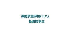 人教版高考生物一轮总复习课时质量评价18基因的表达课件