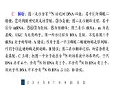 人教版高考生物一轮总复习课时质量评价18基因的表达课件