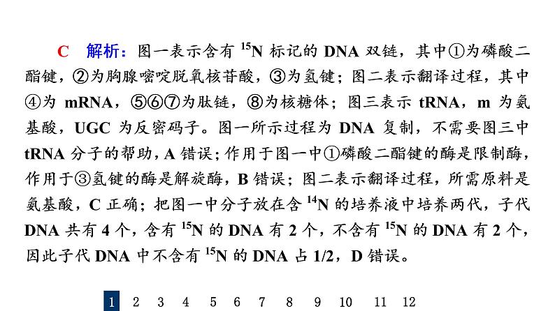 人教版高考生物一轮总复习课时质量评价18基因的表达课件第4页