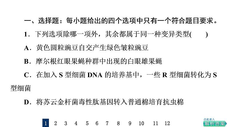 人教版高考生物一轮总复习课时质量评价19基因突变和基因重组课件第2页