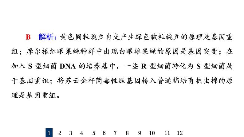 人教版高考生物一轮总复习课时质量评价19基因突变和基因重组课件第3页