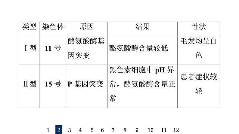 人教版高考生物一轮总复习课时质量评价19基因突变和基因重组课件第5页