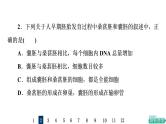 人教版高考生物一轮总复习课时质量评价37胚胎工程课件