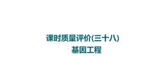 人教版高考生物一轮总复习课时质量评价38基因工程课件